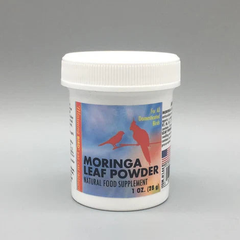 Morning Bird Moringa Leaf Powder (1 oz)