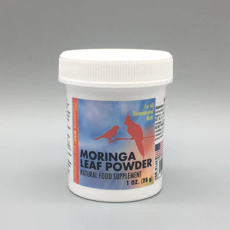 Morning Bird Moringa Leaf Powder