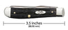 Case Jigged Buffalo Horn Mini Trapper