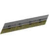 Senco 15-Gauge Bright 34 Degree Angled Finish Nail, 2-1/4 In. (4000 Ct.)