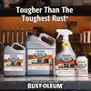 Rust-Oleum Automotive Rust Dissolver