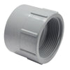 Canplas PVC DWV Female Adapter (FPT) x Hub