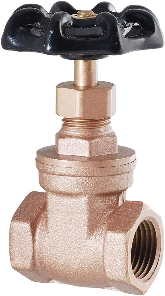 LDR Industries IPS Gate Valve 3/4