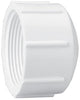 Lasco Fittings 2 FPT Sch40 Cap