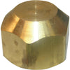 Lasco 1/4 In. Brass Flare Cap