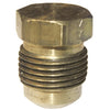 Lasco 1/4 In. Brass Flare Plug