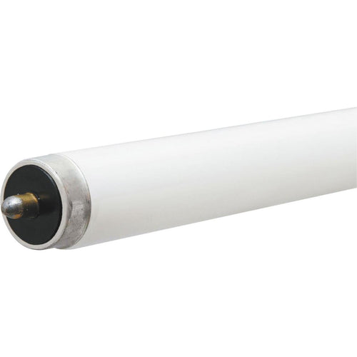 Philips 59W 96 In. Cool White T8 Single Pin Fluorescent Tube Light Bulb