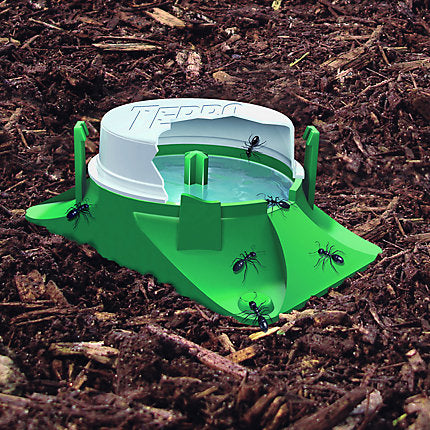 TERRO® Outdoor Liquid Ant Baits (6-pack)